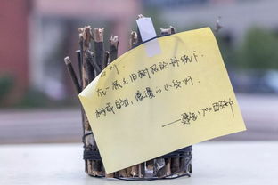 創(chuàng)意制作，一起開開腦洞